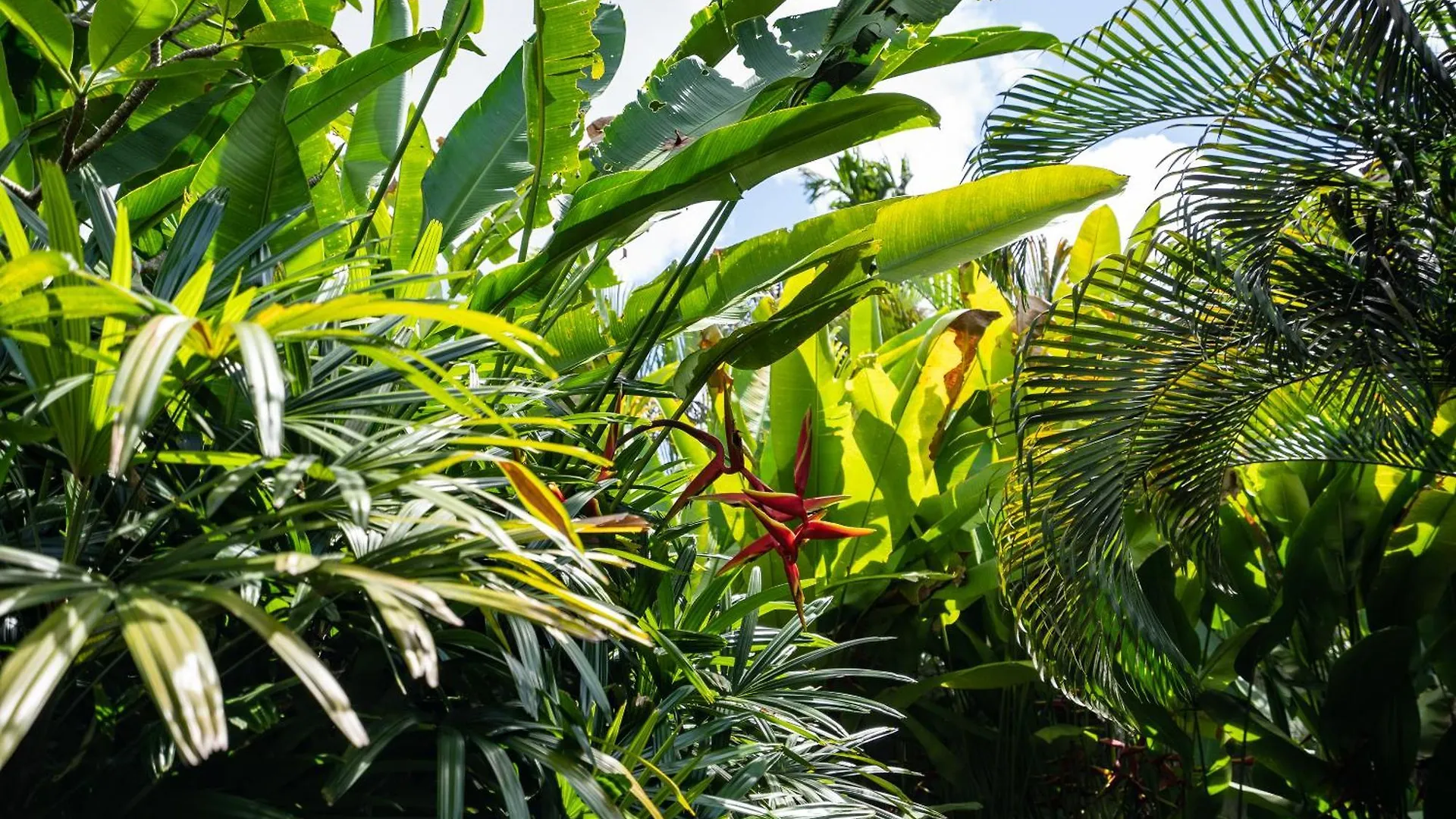 Jepun Villa Ubud Indonesia