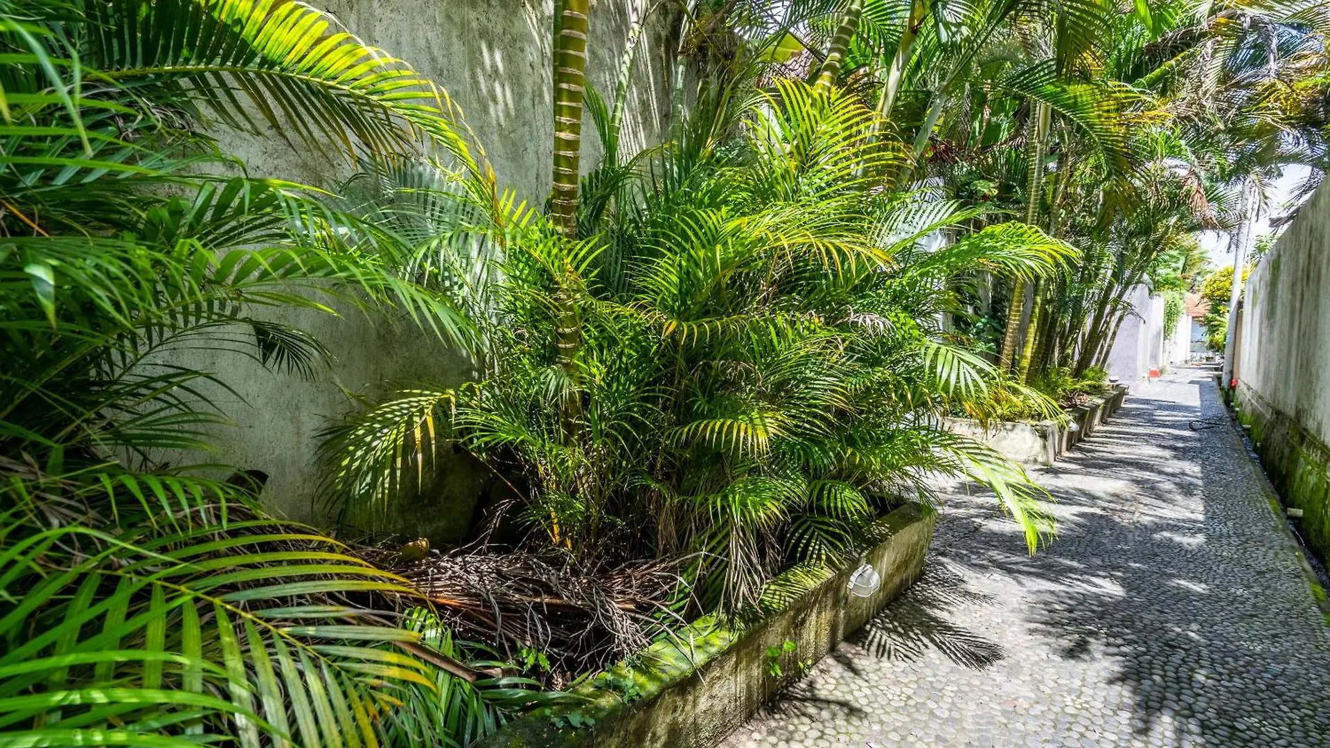 Jepun Villa Ubud